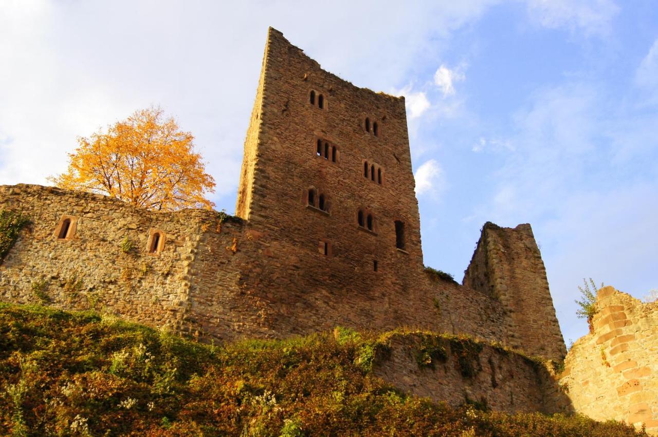 Ferienwohnung Schauenburgblick Oberkirch  Exterior foto